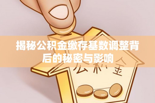 内丘揭秘公积金缴存基数调整背后的秘密与影响
