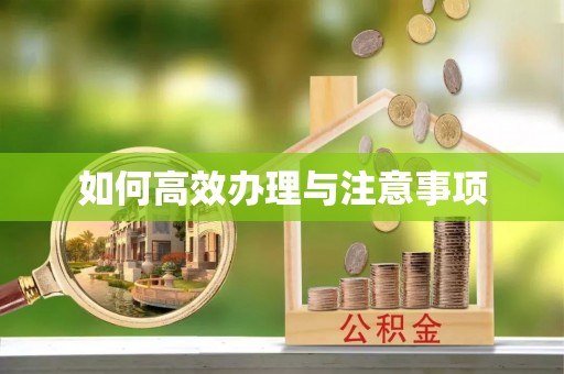 内丘如何高效办理与注意事项