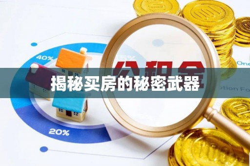 内丘揭秘买房的秘密武器