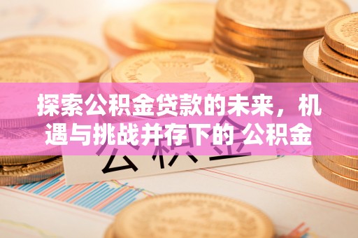 内丘探索公积金贷款的未来，机遇与挑战并存下的 公积金贷款风险防控