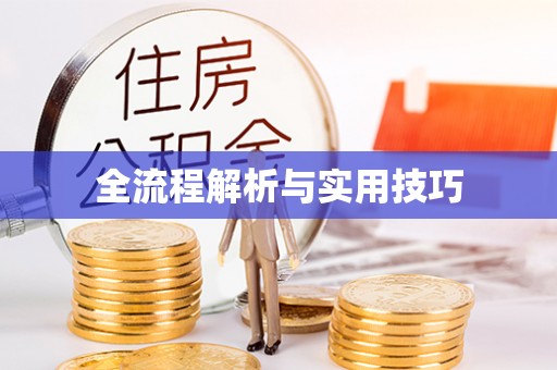 内丘全流程解析与实用技巧