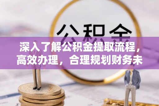 内丘深入了解公积金提取流程，高效办理，合理规划财务未来