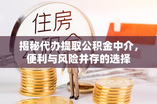 内丘揭秘代办提取公积金中介，便利与风险并存的选择