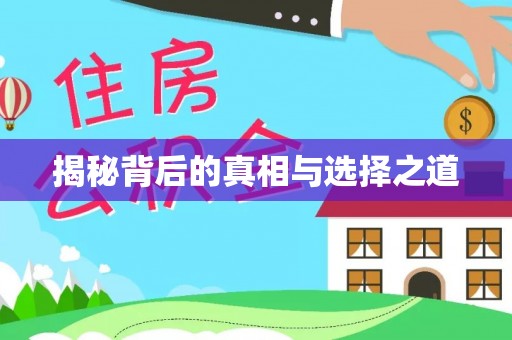 内丘揭秘背后的真相与选择之道