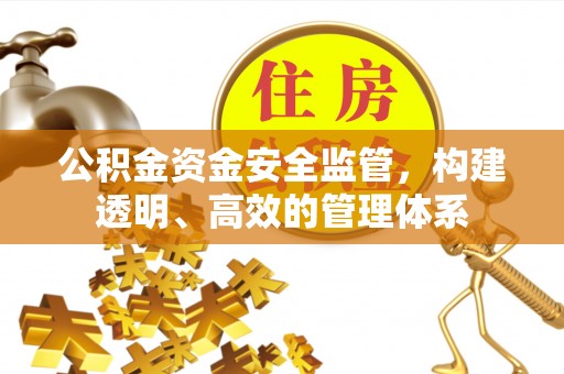 内丘公积金资金安全监管，构建透明、高效的管理体系