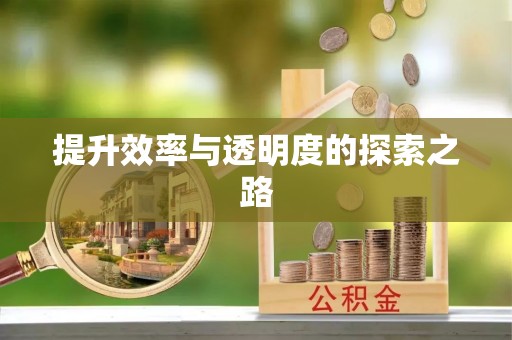 内丘提升效率与透明度的探索之路