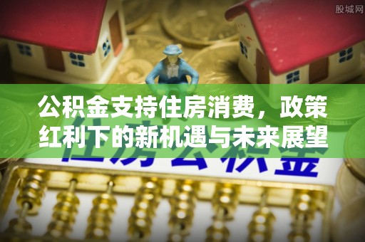 内丘公积金支持住房消费，政策红利下的新机遇与未来展望