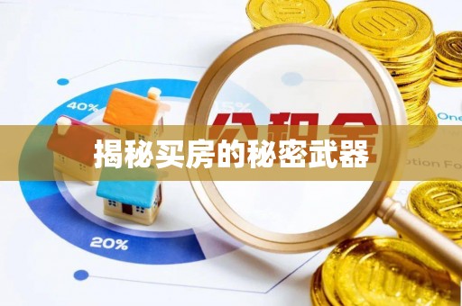 内丘揭秘买房的秘密武器