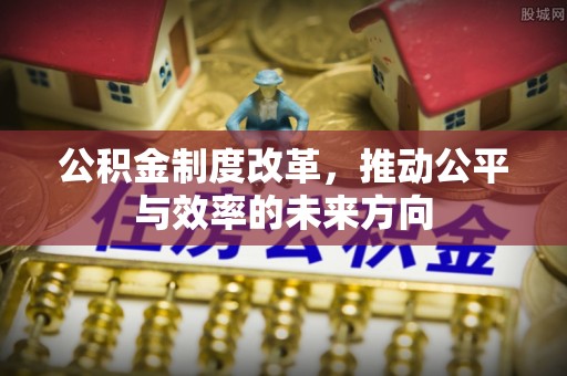 内丘公积金制度改革，推动公平与效率的未来方向