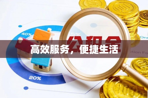内丘高效服务，便捷生活