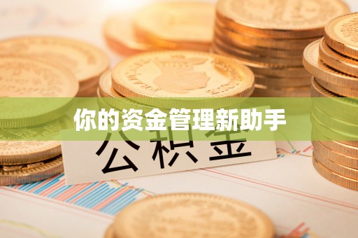 内丘你的资金管理新助手