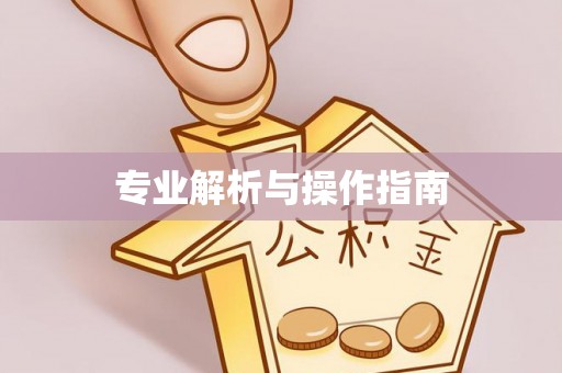 内丘专业解析与操作指南