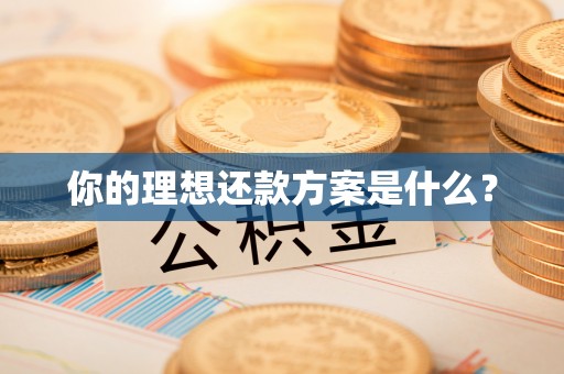 内丘你的理想还款方案是什么？