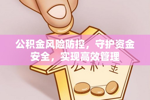 内丘公积金风险防控，守护资金安全，实现高效管理